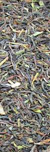 Darjeeling Tee FOP